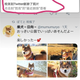 Imagen para el artículo titulado Huawei está eliminando fotos descargadas de Twitter en los teléfonos de algunos usuarios
